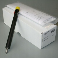 Форсунки форсунки сименс 1 , 6 hdi 9802448680