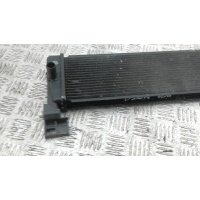 Радиатор масляный LEXUS GS (2012-2019) 2018 1571033050,1571033050SK1,9672335024,G901024011
