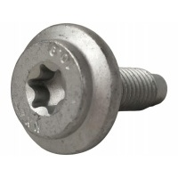 Oe vag болт torx m8 x 27 wht001230
