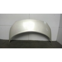 Капот, Renault Scenic 2003-2009 2007 651001097R