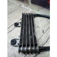 Радиатор акп Hyundai Sonata IV (NEW EF) 2001-2005 EF 2006 2546039500