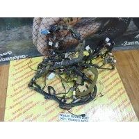 Проводка торпедо Nissan Navara D40 D40 2007 240104X82A