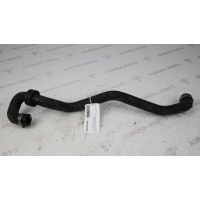 Патрубок системы охлаждения (4.4L DOHC DITC V8 Diesel) Land Rover Range Rover P400E L405 2012 LR036486