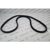 Уплотнитель передней двери LH=RH Land Rover Discovery Sport L550 2014 LR084514