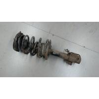 Амортизатор подвески перед. Renault Megane 1996-2002 2002 543021082R