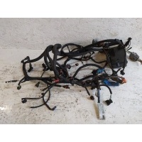 Проводка двигателя Renault Laguna II (2000-2007) 2005 8200674197