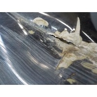 Капот Audi A6 (C7) 2014- 4G0823029A