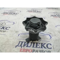 болт крепления запасного колеса VW Passat (B7) 2011-2015 3C0803899