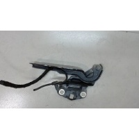 Петля капота, правая Volkswagen Passat CC 2008-2012 2009 3C8823302A