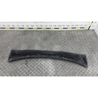 Накладка декоративная (жабо, дождевик) RENAULT MEGANE (2008-0000) 2012 668110003R
