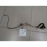 Проводка двери задней левой Dodge Caliber PM 2006-2011 2006 4795575AD