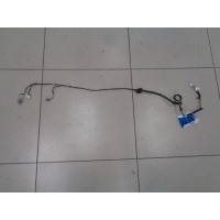 Проводка двери задней правой Hyundai Elantra XD 2000-2010 2003 916502D510