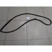 Уплотнитель двери передней левой Mercedes Benz E-Сlass W211 2002-2009 2009 A2117200178