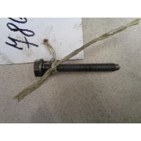 Болт коленвала Volkswagen Passat B6 2005-2010 2009 N91048601