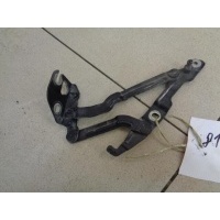 Петля крышки багажника правая Volkswagen Jetta 4 1998-2005 2001 3B5827302B