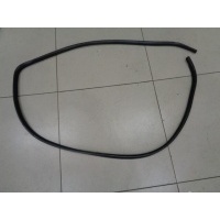 Уплотнитель проема двери передний Land Rover Freelander 1997-2006 2004 ASR2560