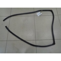 Уплотнитель двери задней правой Toyota Corolla Verso AR10 2004-2009 2005 623310F010B0