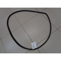 Уплотнитель проема двери передний Renault Megane 2 2002-2008 2007 8200077500