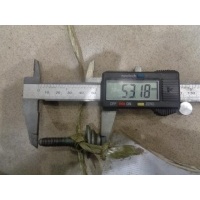Болт крепления панели передней Audi A6 Allroad quattro C5 2000-2005 2002 N90808503