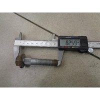 Болт крепления переднего амортизатора Renault Megane 3 2008-2015 2011 545880001R