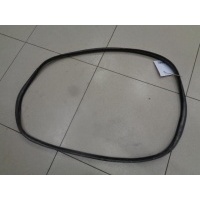 Уплотнитель двери задней левой Renault Megane 2 2002-2008 2004 8200077500
