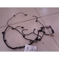 Проводка двери передней правой Audi A8 D3 2002-2010 2004 4E1971036D