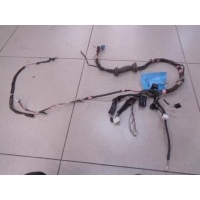 Проводка двери передней левой Lexus RX 2003-2009 2004 821520E010