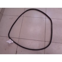 Уплотнитель проема двери передний Renault Fluence 2010-2017 2014 808320004R