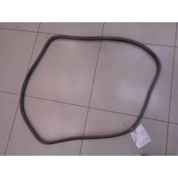 Уплотнитель проема двери задний Renault Laguna 2 2001-2008 2005 8200440769
