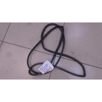 Уплотнитель двери передней правой Volkswagen Passat B6 2005-2010 2006 3C4837702D5AP