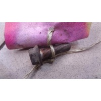 Болт крепления рычага заднего Volkswagen Passat B6 2005-2010 2006 N10628401