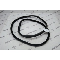 Уплотнитель проема задней двери LH=RH BMW X6 F16 2014 51727317812