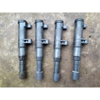 Катушка renault лагуна ii megane scenic 029700 - 8291