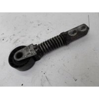 Механизм натяжения ремня, цепи Renault Scenic I (1996-2003) 2001 8200065970