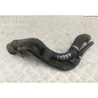 Горловина топливного бака BMW 5 E39 (1995-2003) 1998 16111182912