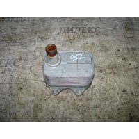 радиатор масляный VW Passat (B6) 2005-2010 2007 06J117021D