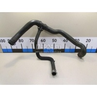 Патрубок радиатора Renault Clio III (2005 - 2012) 8200173007