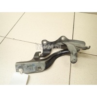 Петля капота правая GM Captiva (C140) (2011 - 2016) 95049937