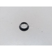 Прокладка (кузов наружные) VAG Passat CC (2008 - 2017) 1T0919133C9B9