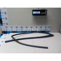Уплотнитель стекла двери Toyota RAV 4 (2019 - ) 6814142121