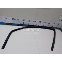 Уплотнитель стекла двери Ford Focus I (1998 - 2005) 1221090