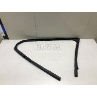 Уплотнитель стекла двери Ford EcoSport (2013 - ) 1855866