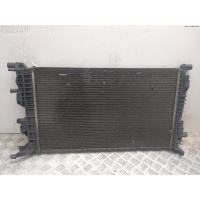 Радиатор основной Renault Scenic III (2009-2015) 2010 214100002R