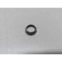 Прокладка (кузов наружные) VAG Passat CC (2008 - 2017) 1T0919133C9B9