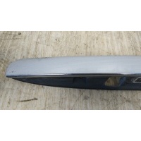 Подсветка номера MERCEDES-BENZ M-CLASS (W164) 2008 A1647400893