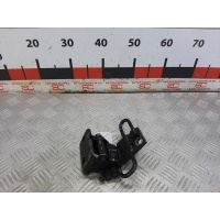 Петля двери передней правой Volkswagen Passat 6 2008 3C8831412C