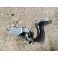 петля багажника Audi Q7 4L 2005-2009 4L0827299C