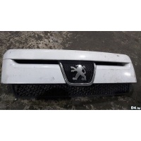 Решетка радиатора Peugeot Expert 2007