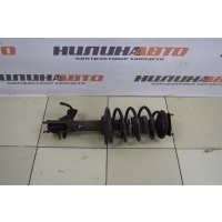 Амортизатор передний левый NISSAN Almera N16 E4303BM425