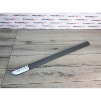 Молдинг двери передний левый RENAULT Megane 2 8200574616
